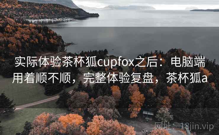 实际体验茶杯狐cupfox之后:电脑端用着顺不顺,完整体验复盘,茶杯狐a 实际体验茶杯狐cupfox之后:电脑端用着顺不顺,完整体验复盘,茶杯狐a