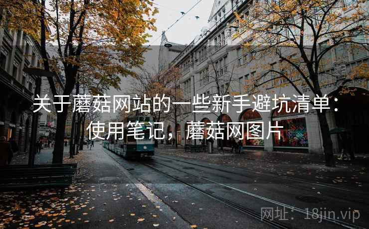 关于蘑菇网站的一些新手避坑清单：使用笔记，蘑菇网图片